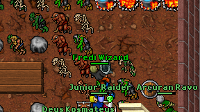 Fredi Wizard on screen