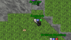 Araizor on screen