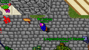Wradaa on screen