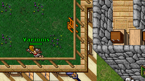 Varionis on screen