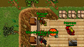 Shadow Ice Ghoul on screen