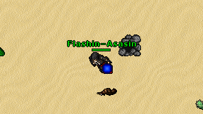 Flashin-Asasin on screen
