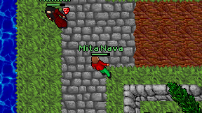 Mita Nava on screen