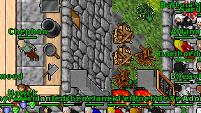 Renoda on screen