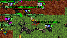 Druida Maker on screen