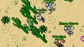 Iredim on screen