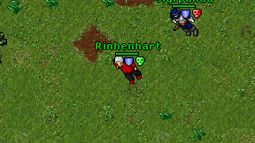 Rinhenhart on screen