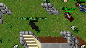 Shinoby Fabio on screen