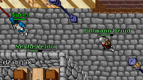 Ballmann Druid on screen