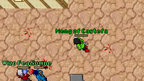 Neng of Castefa on screen