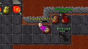 Palays Arrow on screen