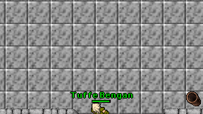 Tuffe Bengan on screen