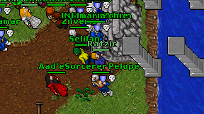 Ratzic on screen