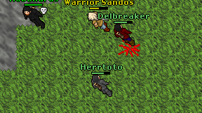 Herrtoto on screen