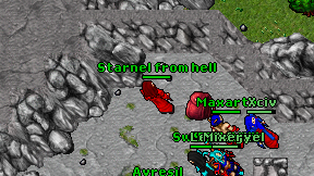 Starnel from hell on screen