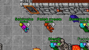 Palek zyoom on screen