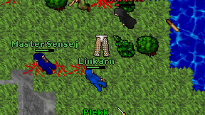 Linkarn on screen