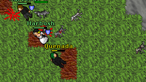 Quenada on screen