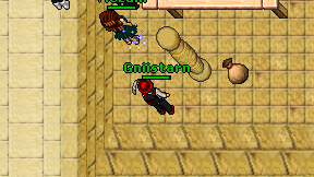 Gniistarn on screen