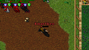 Kwartken on screen