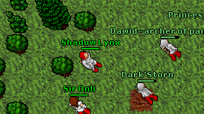 Shadow Lynx on screen
