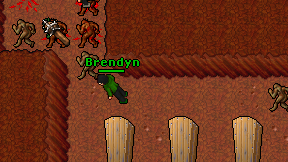 Brendyn on screen