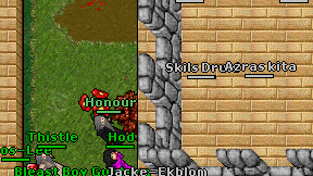 Skils Druid on screen