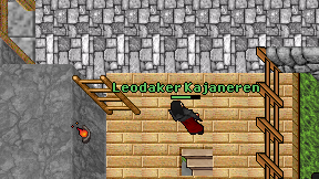 Leodaker Kajaneren on screen