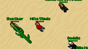 Nite Winds on screen