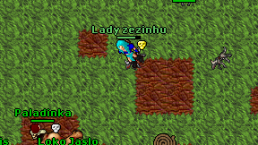 Lady zezinhu on screen