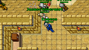 Kamexo on screen