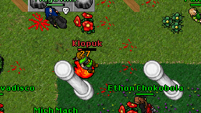 Klopuk on screen