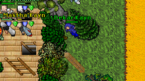 Dekar Kayn on screen