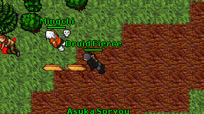 Druid Fierce on screen