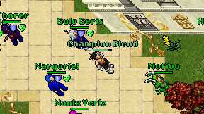 Champion Blend on screen