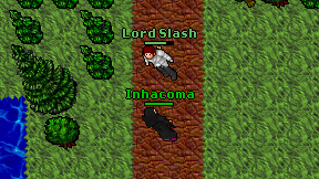 Inhacoma on screen