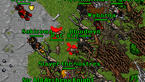 Bloodwyn on screen
