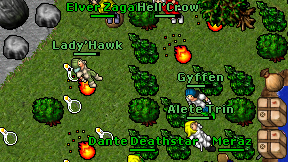 Lady'Hawk on screen