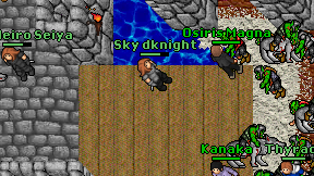 Sky dknight on screen
