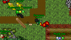 Dwano on screen