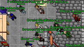 Druid Shadox on screen