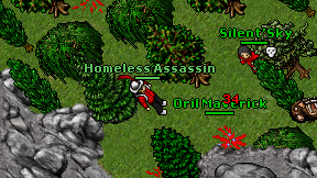 Homeless Assassin on screen