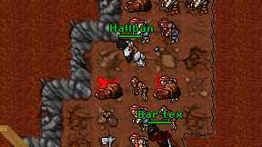 Hallban on screen