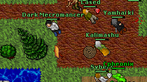 Dark Mecromancer on screen