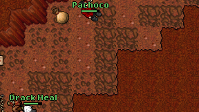 Pachoco on screen