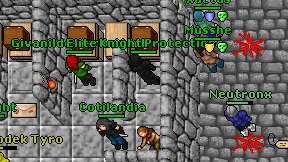 Elite Knight Protections on screen