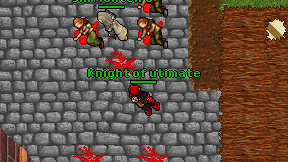 Knight of utimate on screen
