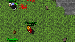 Floggy on screen
