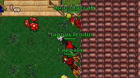 Magnus Irodin on screen