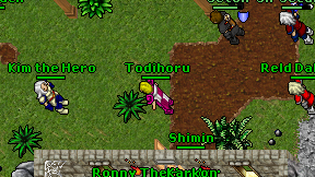 Todihoru on screen
